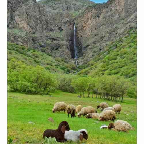 حسین کریمی میدونم رفتم از یادت ولی پیش دلم گیره